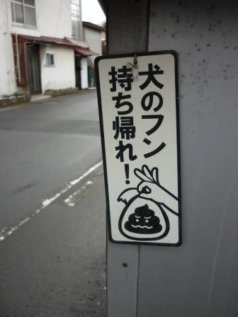 イメージ 12
