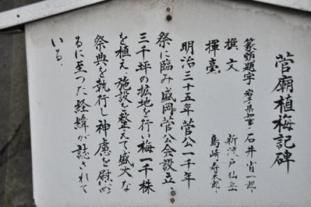 イメージ 13