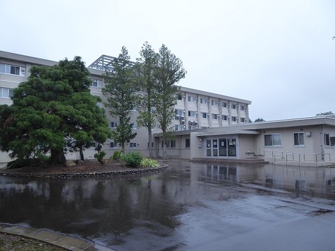 6c05245c-s.jpg