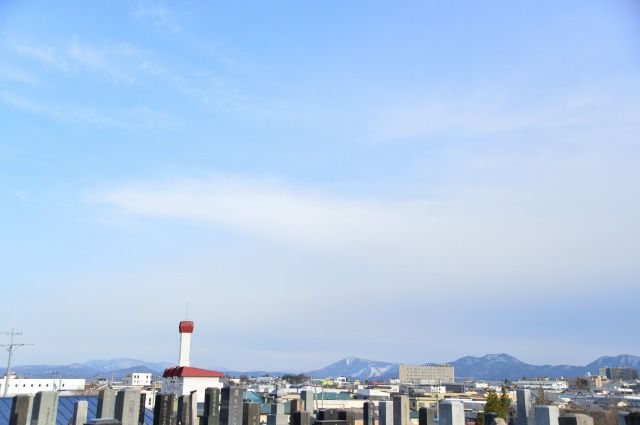 イメージ 8
