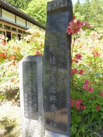 イメージ 9