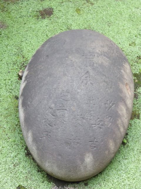 イメージ 9