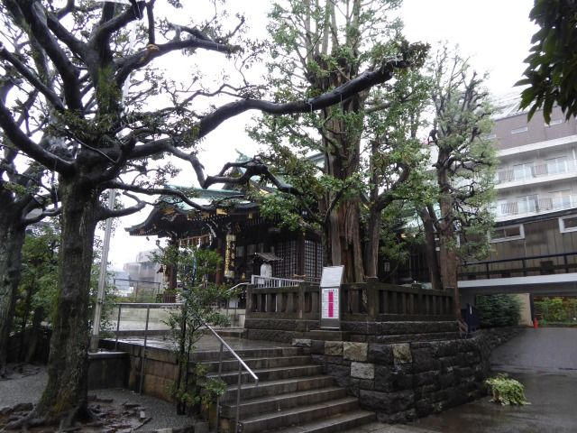 イメージ 8