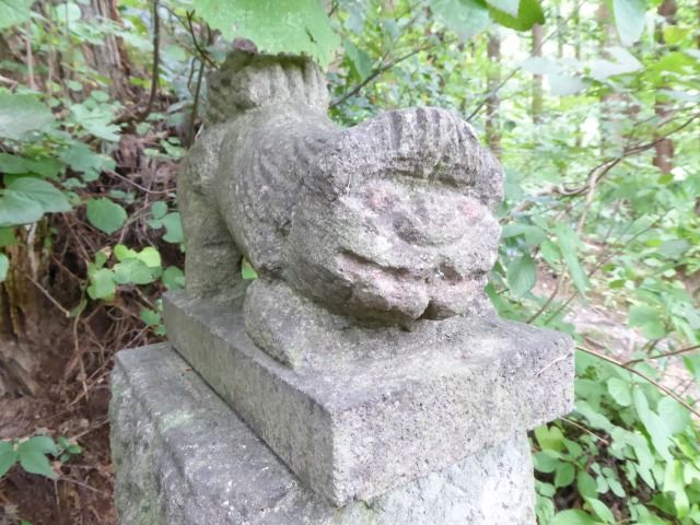 イメージ 49