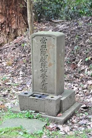 イメージ 54
