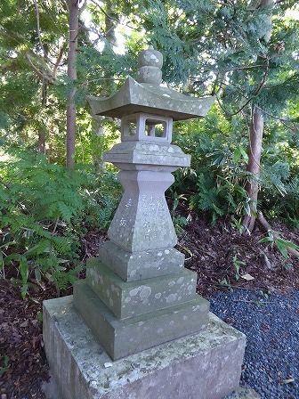 イメージ 14