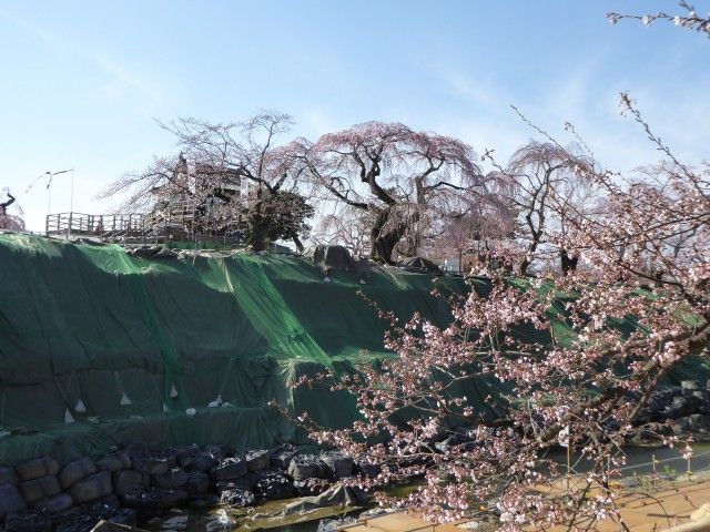 イメージ 17