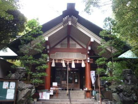 イメージ 5
