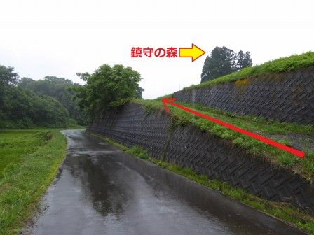 イメージ 3