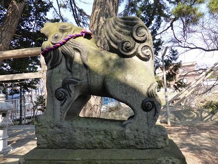 イメージ 8