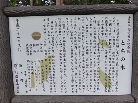 イメージ 17