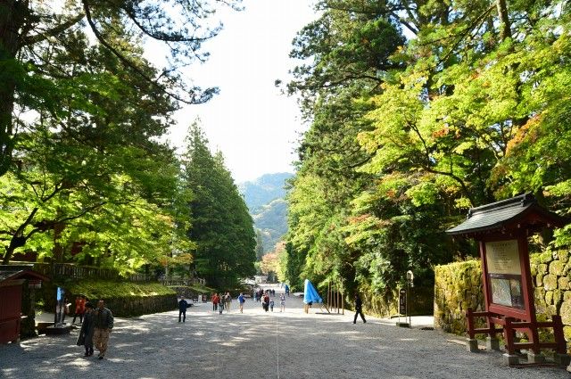 日光東照宮 (Nikko Toshogu Shrine)Part1 : くぐる鳥居は鬼ばかり 日光東照宮 (Nikko Toshogu Shrine)Part1 : くぐる鳥居は鬼ばかり