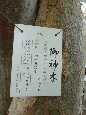 イメージ 12