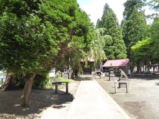イメージ 41