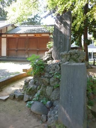 イメージ 31