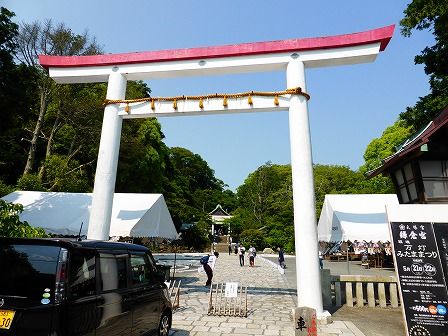 イメージ 5