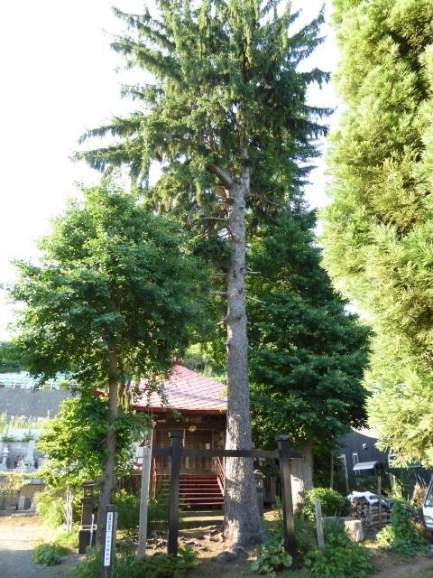 イメージ 9