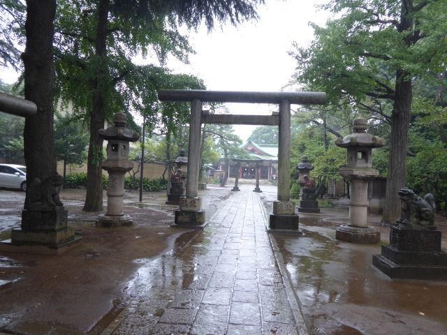イメージ 8