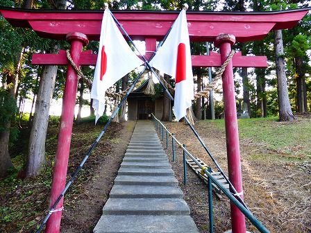 イメージ 17
