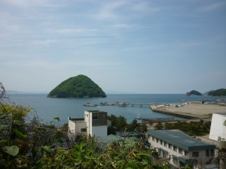 イメージ 13