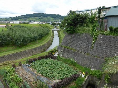 イメージ 8