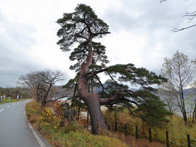 イメージ 2