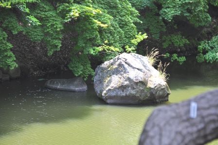 イメージ 23
