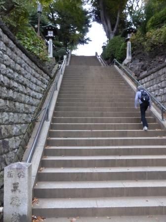 イメージ 36