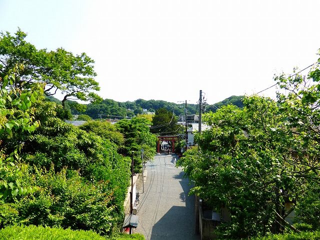イメージ 43