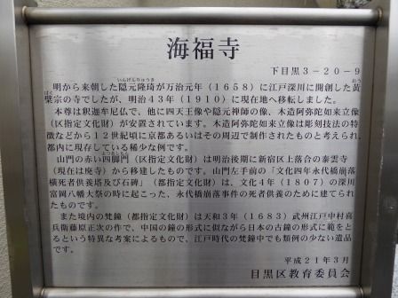 イメージ 5