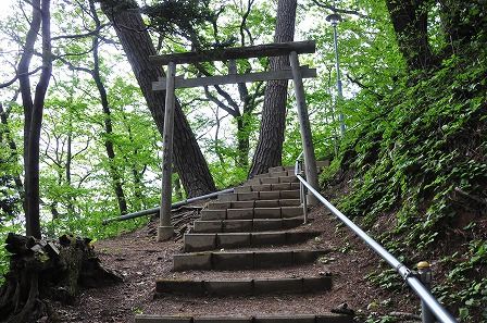 イメージ 23