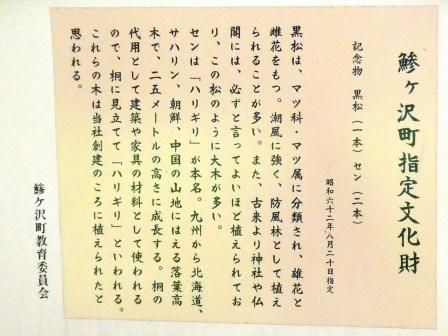 イメージ 22