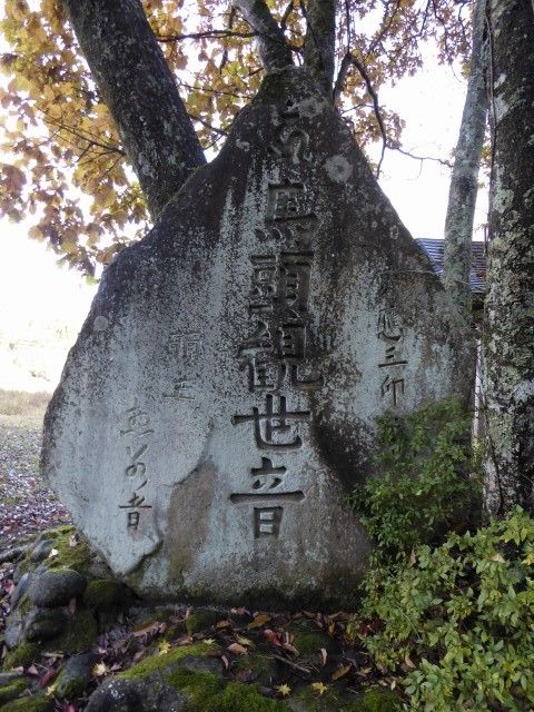 イメージ 17