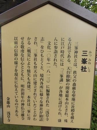 イメージ 11