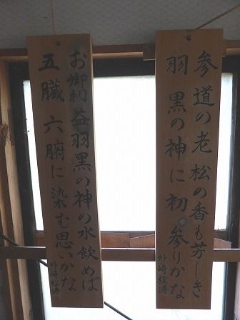 イメージ 13