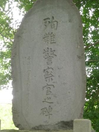 イメージ 33