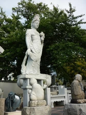 イメージ 13