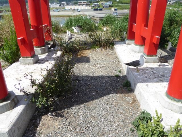 イメージ 17