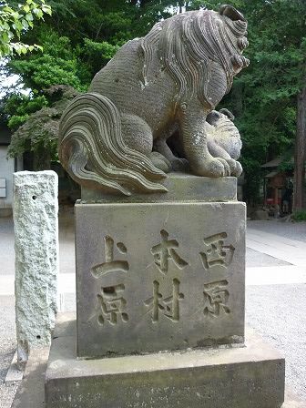 イメージ 63