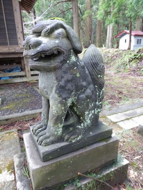 イメージ 15
