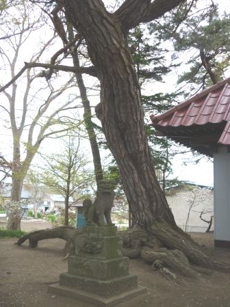 イメージ 2