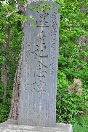 イメージ 17