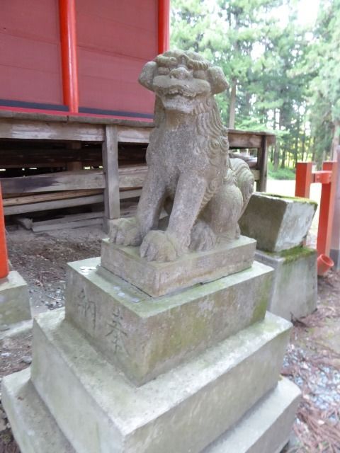 イメージ 8