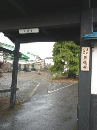 イメージ 6