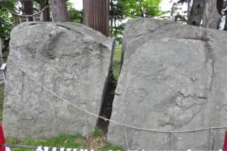 イメージ 10