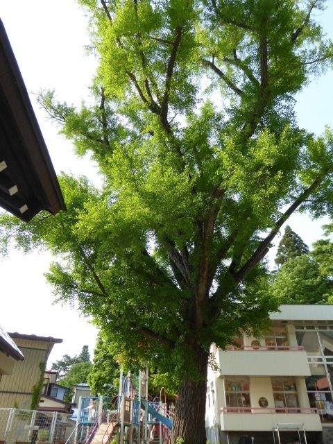 イメージ 23