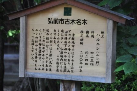 イメージ 23