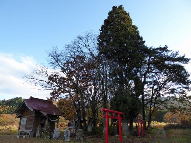 イメージ 2