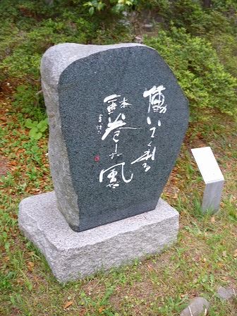 イメージ 5