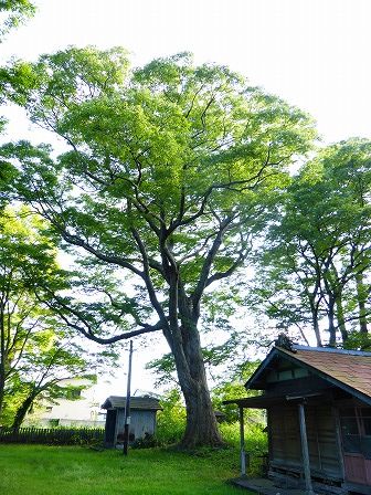イメージ 21